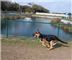 Paws Park at Wingate Park
