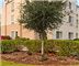 Fairfield Inn