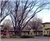 Budget Host - Fort Collins, CO