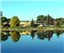 Best Western Driftwood Inn