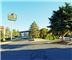 Best Western Cottontree Inn